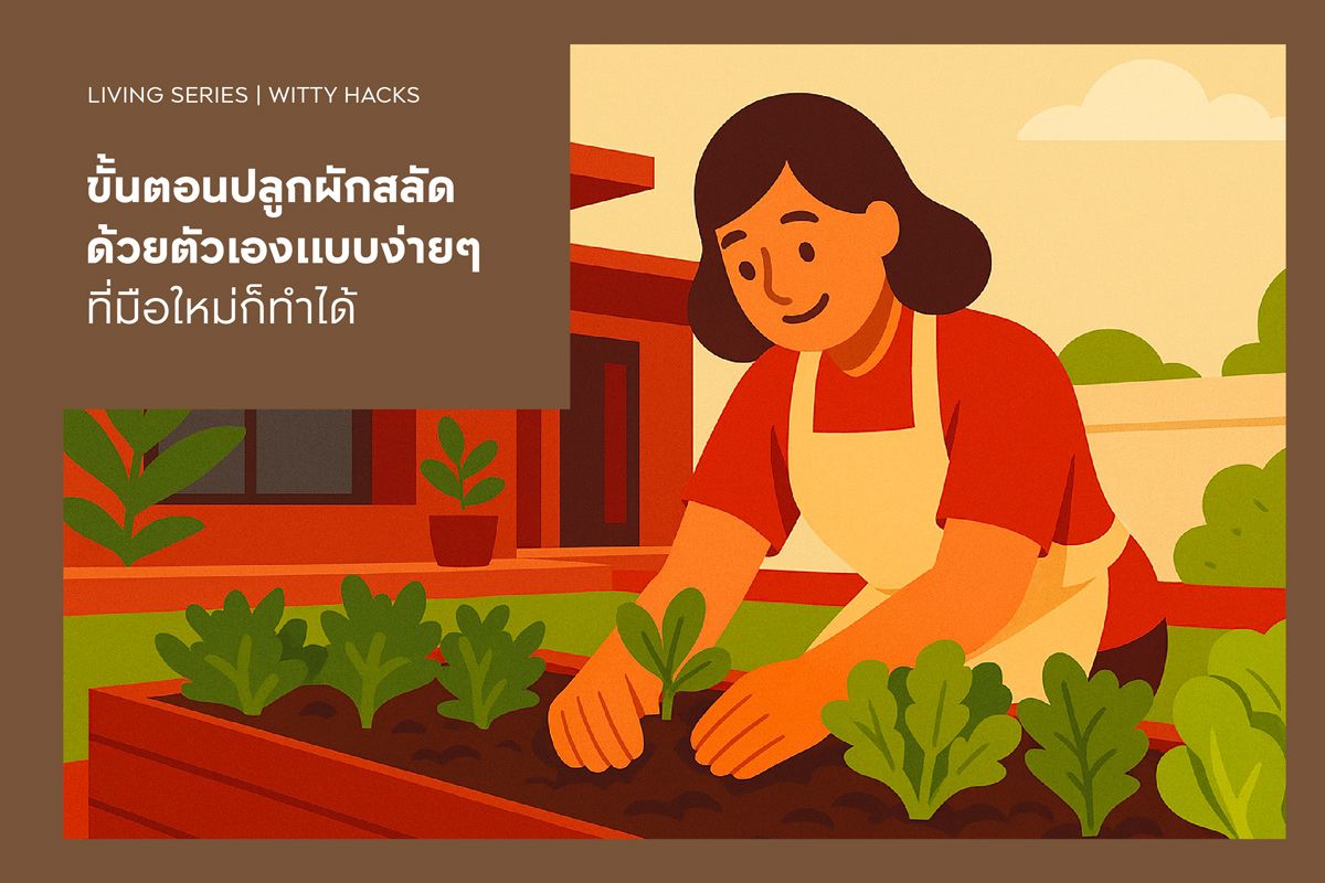 ขั้นตอนปลูกผักสลัดด้วยตัวเองแบบง่ายๆ ที่มือใหม่ก็ทำได้