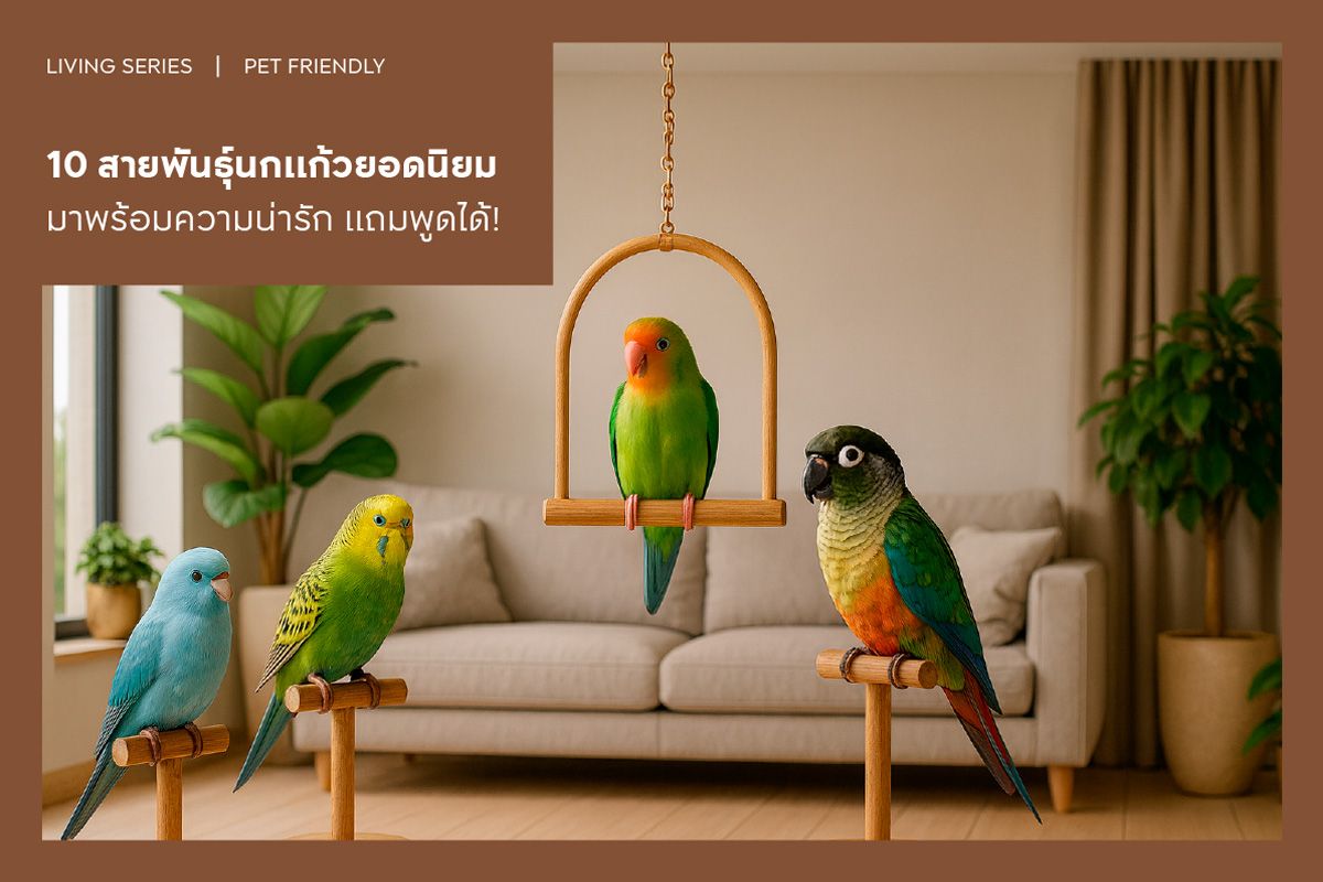 10 สายพันธุ์นกแก้วยอดนิยม มาพร้อมความน่ารัก แถมพูดได้!