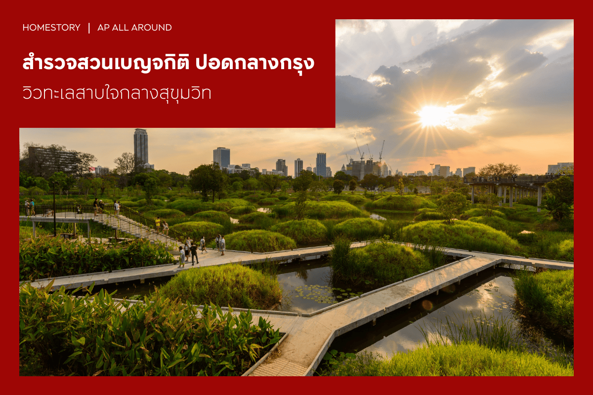 สำรวจสวนเบญจกิติ ปอดกลางกรุง วิวทะเลสาบใจกลางสุขุมวิท