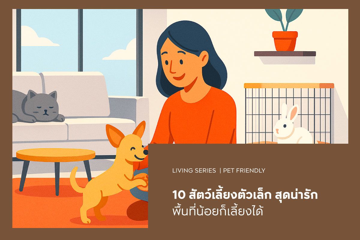 10 สัตว์เลี้ยงตัวเล็ก สุดน่ารัก พื้นที่น้อยก็เลี้ยงได้