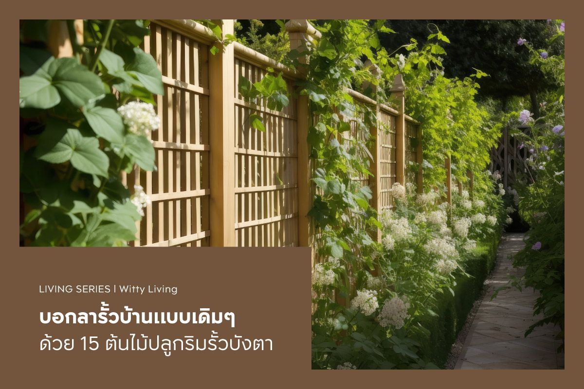 บอกลารั้วบ้านแบบเดิมๆ ด้วย 15 ต้นไม้ปลูกริมรั้วบังตา