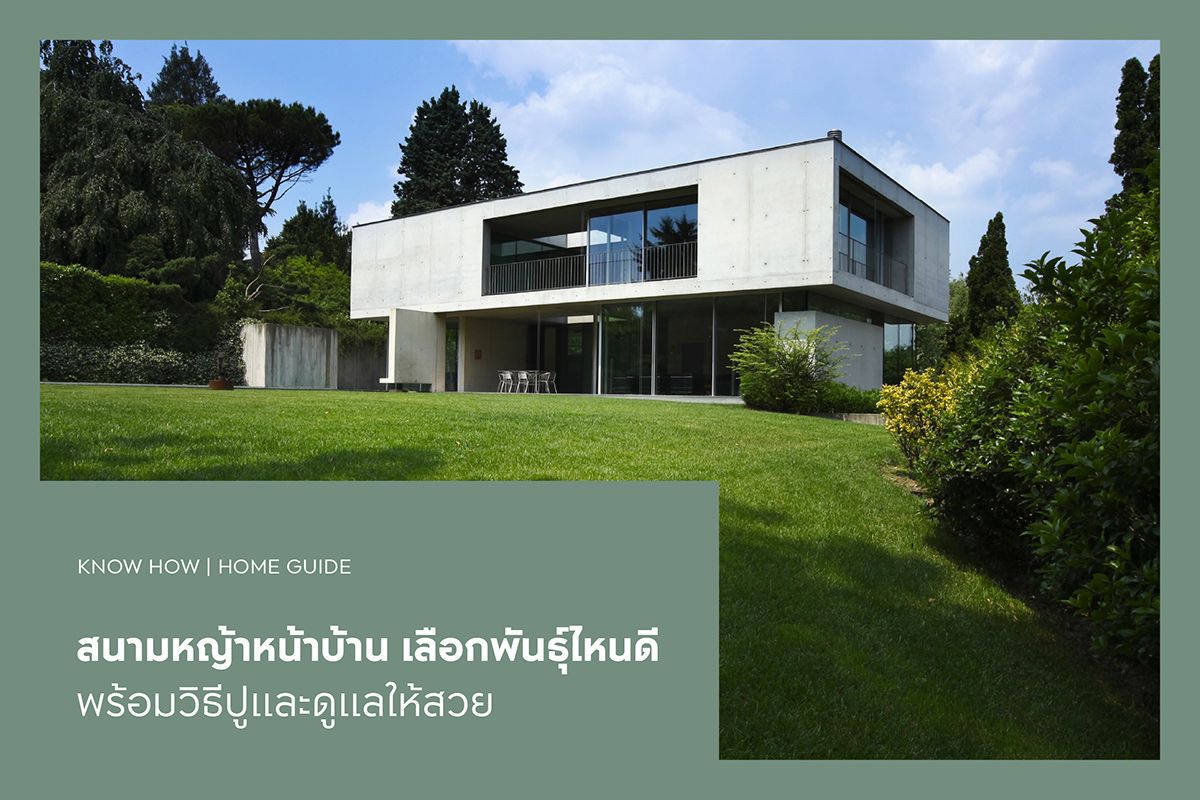 สนามหญ้าหน้าบ้าน เลือกพันธุ์ไหนดี พร้อมวิธีปูและดูแลให้สวย