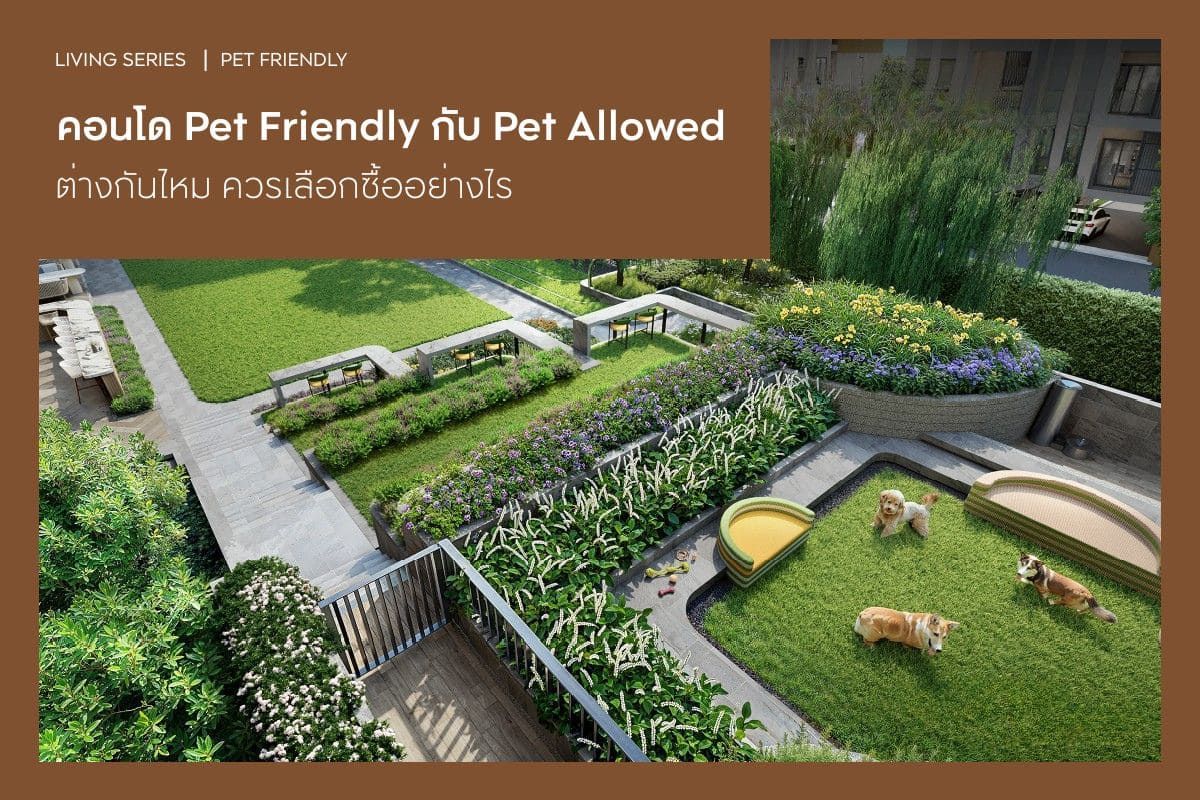 คอนโด Pet Friendly กับ Pet Allowed ต่างกันไหม ควรเลือกซื้ออย่างไร