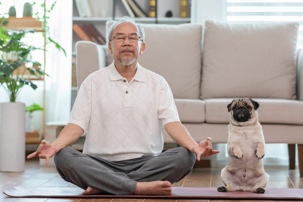 มุมพักผ่อนสำหรับทำกิจกรรมยามว่างในห้องนอนผู้สูงอายุ