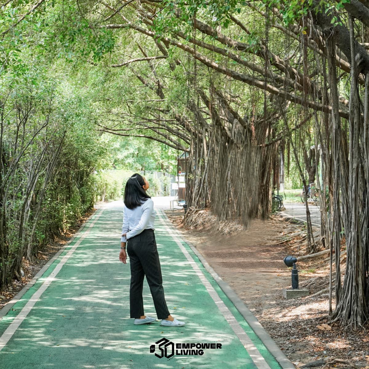 ธรรมชาติสีเขียวในย่านลาดพร้าว
