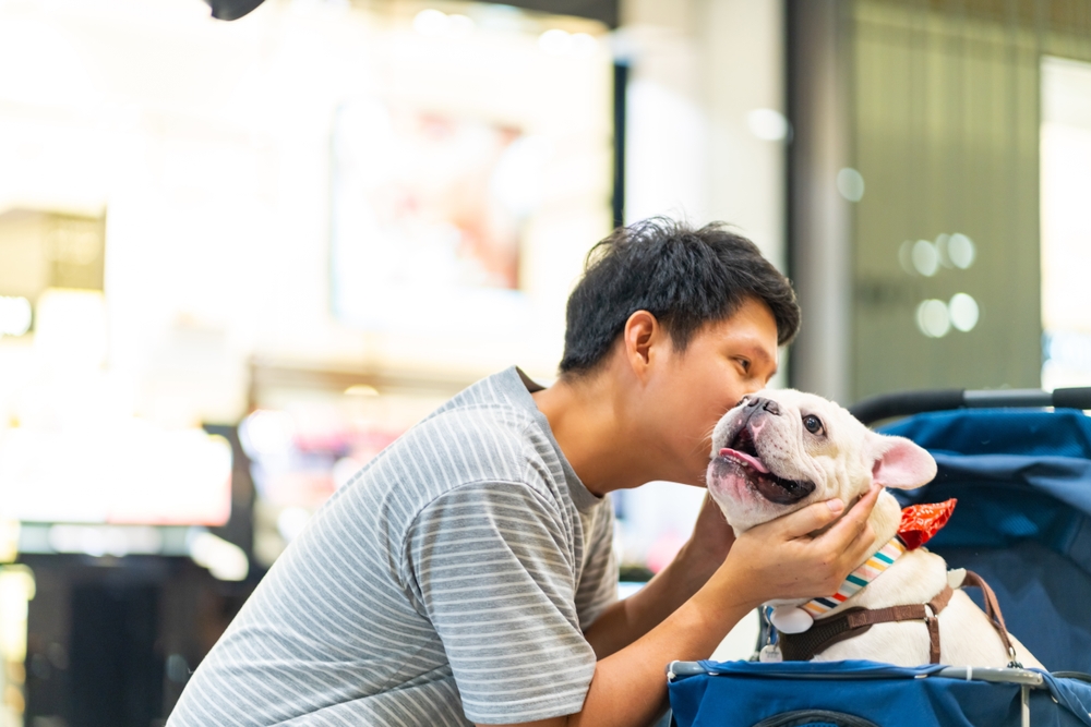 37_single-detached-house-nuanchan.jpg ผู้ชายพาน้องหมาไปเดินเล่นในแหล่งไลฟ์สไตล์ชื่อดังย่านนวลจันทร์