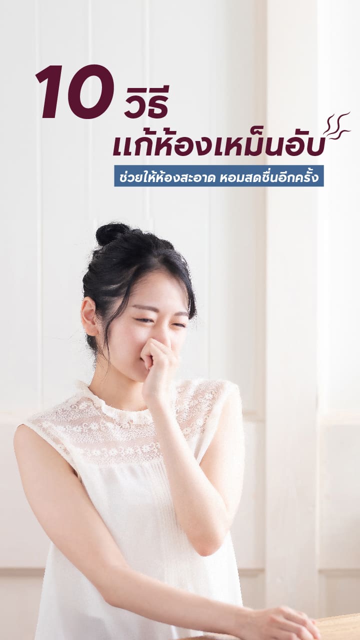 10 วิธีแก้ห้องเหม็นอับ