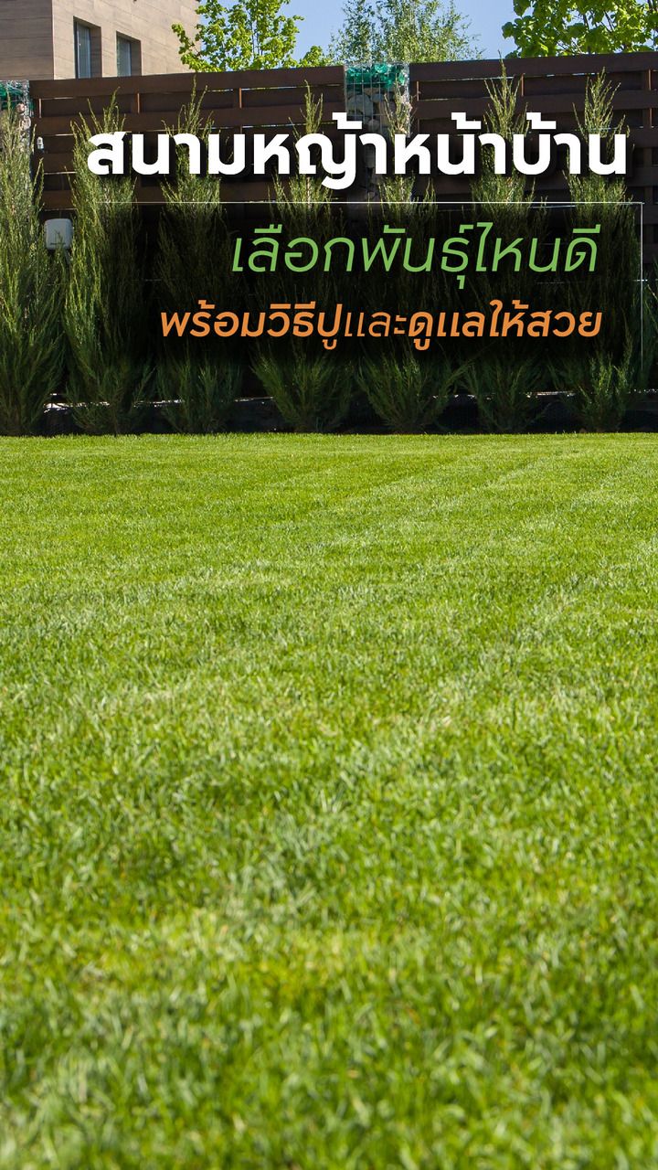 สนามหญ้าหน้าบ้าน