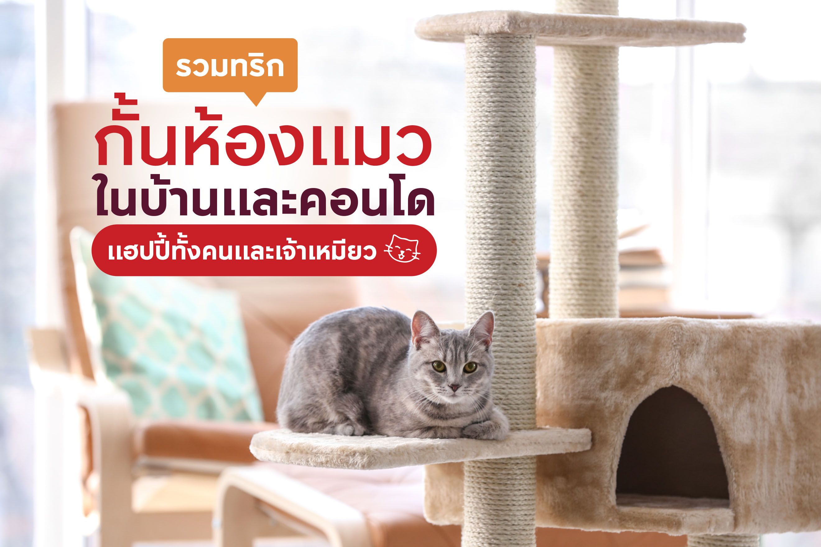 รวมทริกกั้นห้องแมวในบ้านและคอนโด แฮปปี้ทั้งคนและเจ้าเหมียว