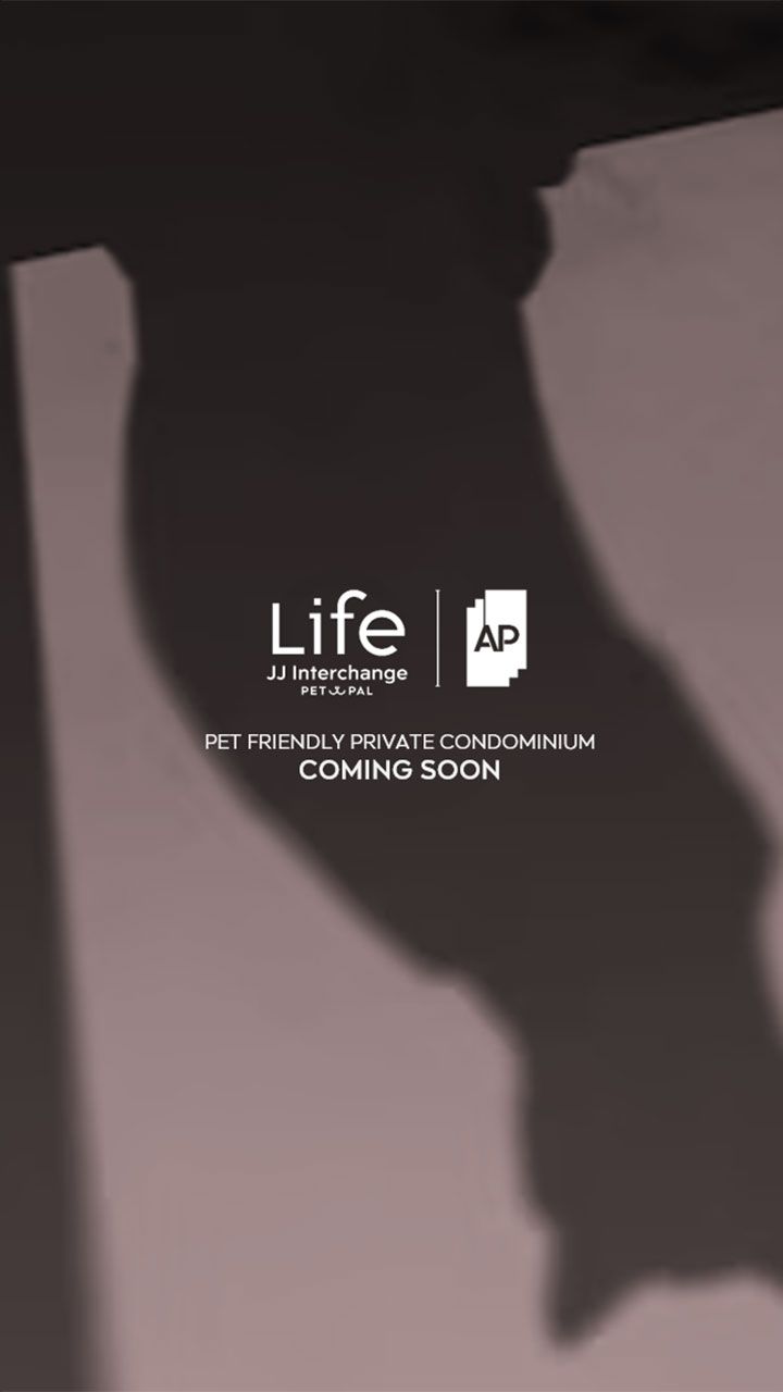 LIFE เจเจ อินเตอร์เชนจ์ เพ็ทพอล-แบนเนอร์