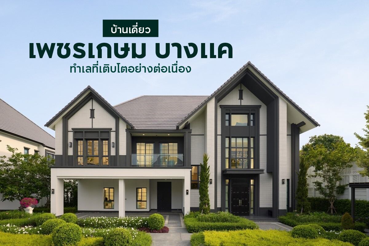 บ้านเดี่ยว เพชรเกษม บางแค 2568 ทำเลที่เติบโตอย่างต่อเนื่อง