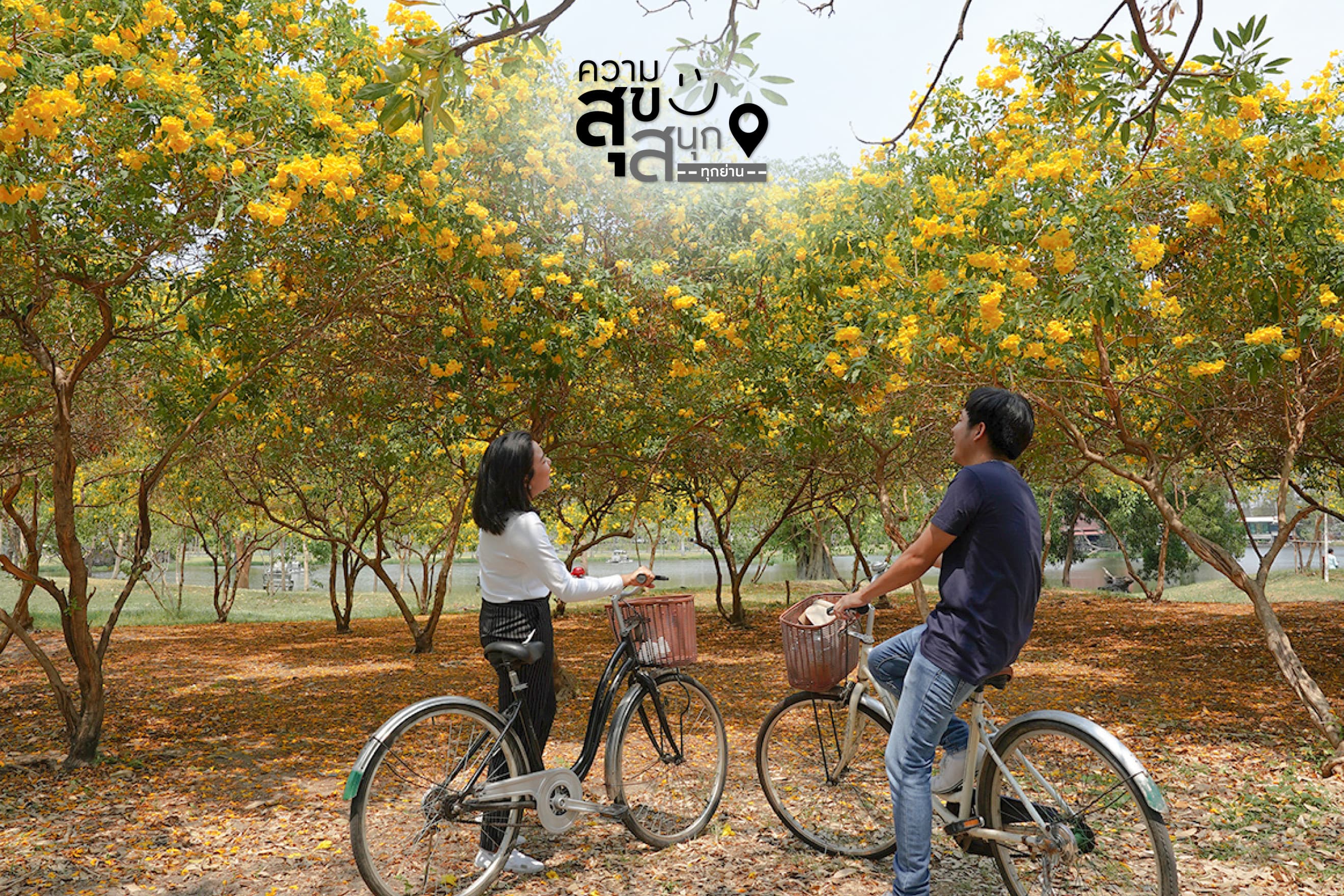AP ความสุข สนุกทุกย่าน - Life ลาดพร้าว