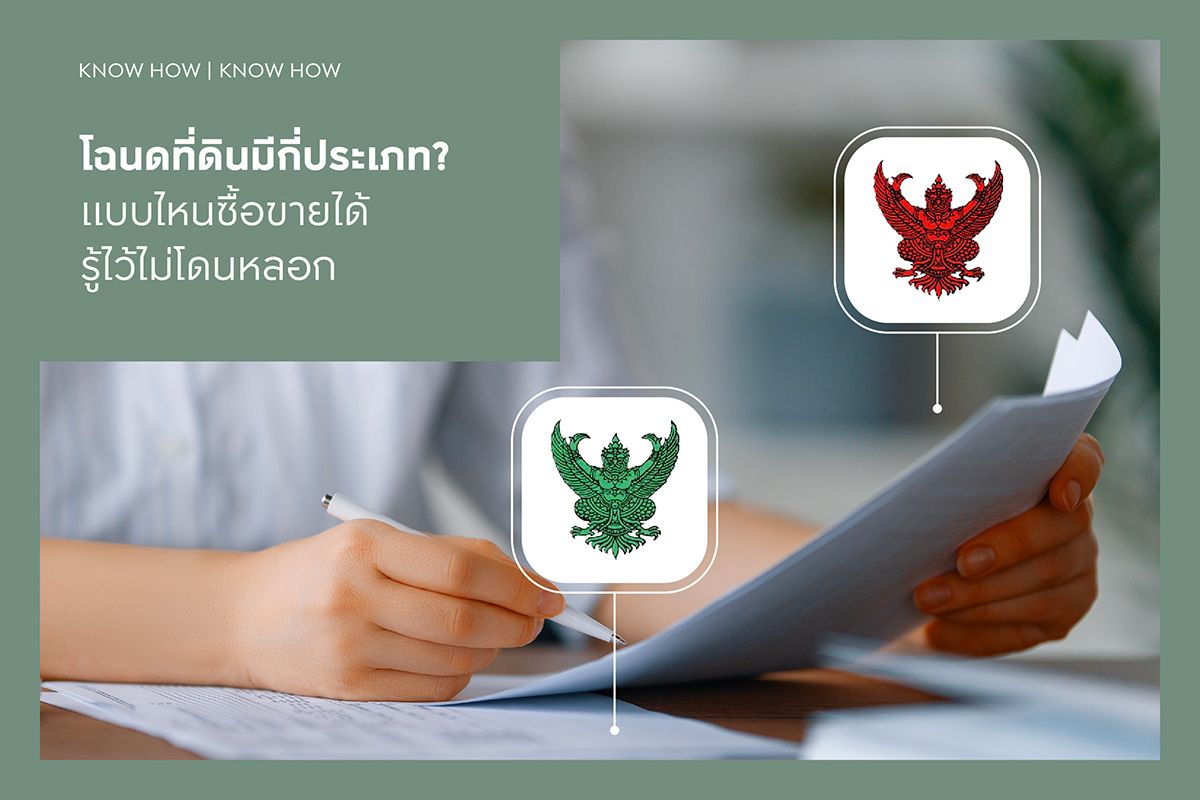 โฉนดที่ดินมีกี่ประเภท? แบบไหนซื้อขายได้ รู้ไว้ไม่โดนหลอก