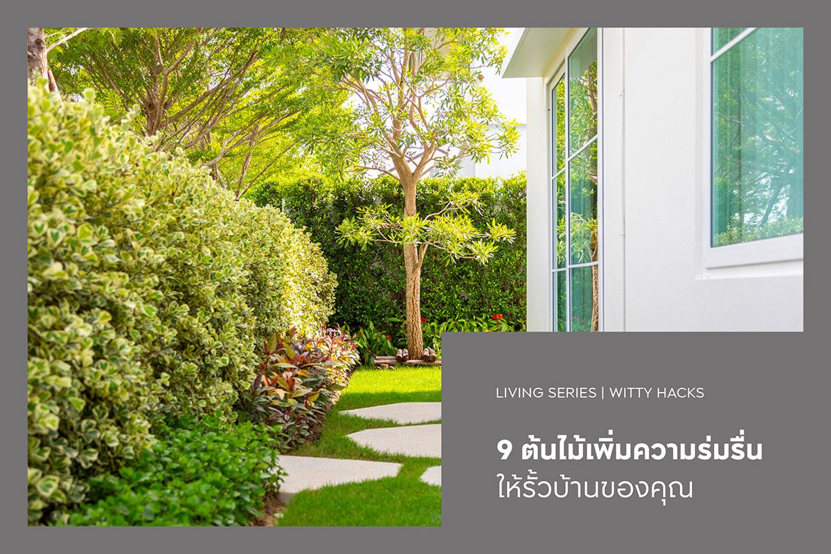 9 ต้นไม้เพิ่มความร่มรื่นให้รั้วบ้านของคุณ