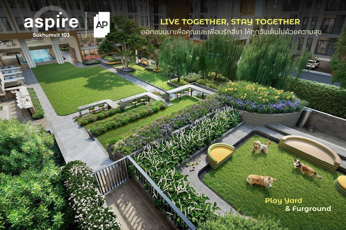 พื้นที่ Play Yard สำหรับสัตว์เลี้ยงบนคอนโด AP Thai แบบ Pet Friendly