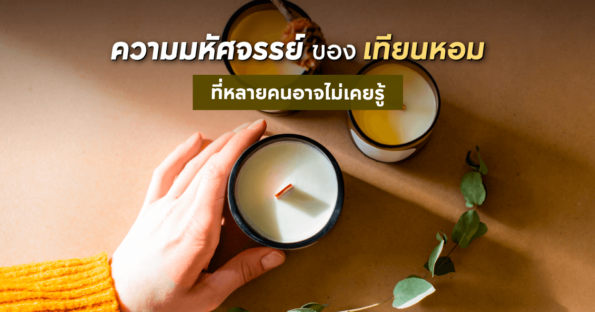 ความมหัศจรรย์ของเทียนหอมที่หลายคนอาจไม่เคยรู้ ความมหัศจรรย์ของเทียนหอมที่หลายคนอาจไม่เคยรู้