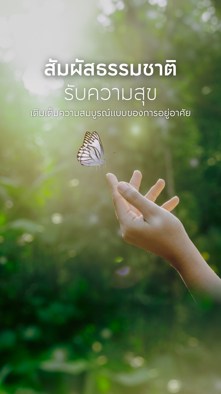 APITOWN Suratthani-Banner Desktop