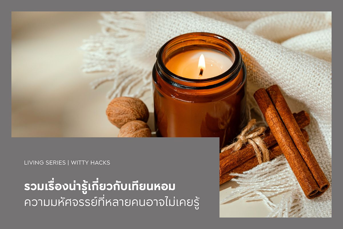 รวมเรื่องน่ารู้เกี่ยวกับเทียนหอม ความมหัศจรรย์ที่หลายคนอาจไม่เคยรู้