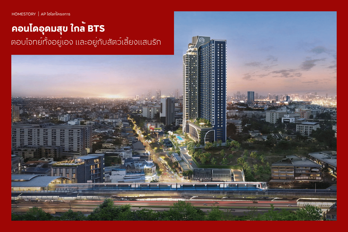 คอนโดอุดมสุข 2569 ใกล้ BTS ตอบโจทย์ทั้งอยู่เอง และอยู่กับสัตว์เลี้ยงแสนรัก