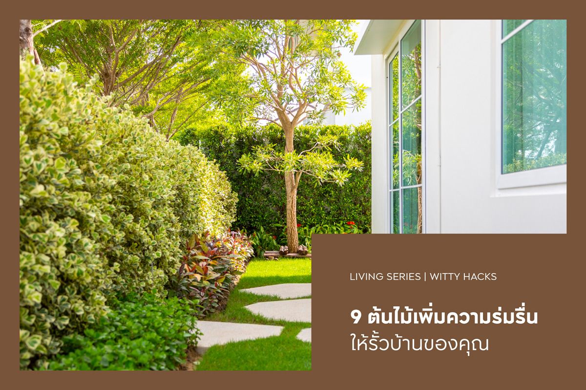 9 ต้นไม้เพิ่มความร่มรื่นให้รั้วบ้านของคุณ