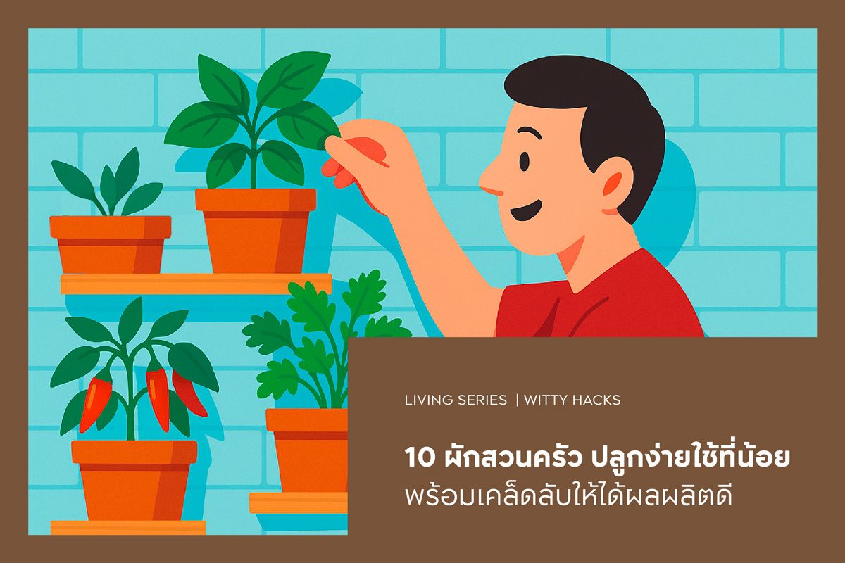 10 ผักสวนครัว ปลูกง่ายใช้ที่น้อย พร้อมเคล็ดลับให้ได้ผลผลิตดี