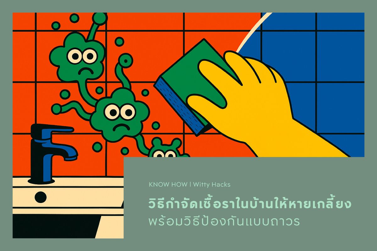 วิธีกำจัดเชื้อราในบ้านให้หายเกลี้ยง พร้อมวิธีป้องกันแบบถาวร