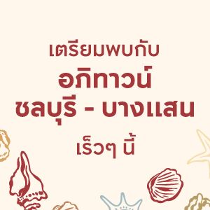 อภิทาวน์ ชลบุรี - บางแสน