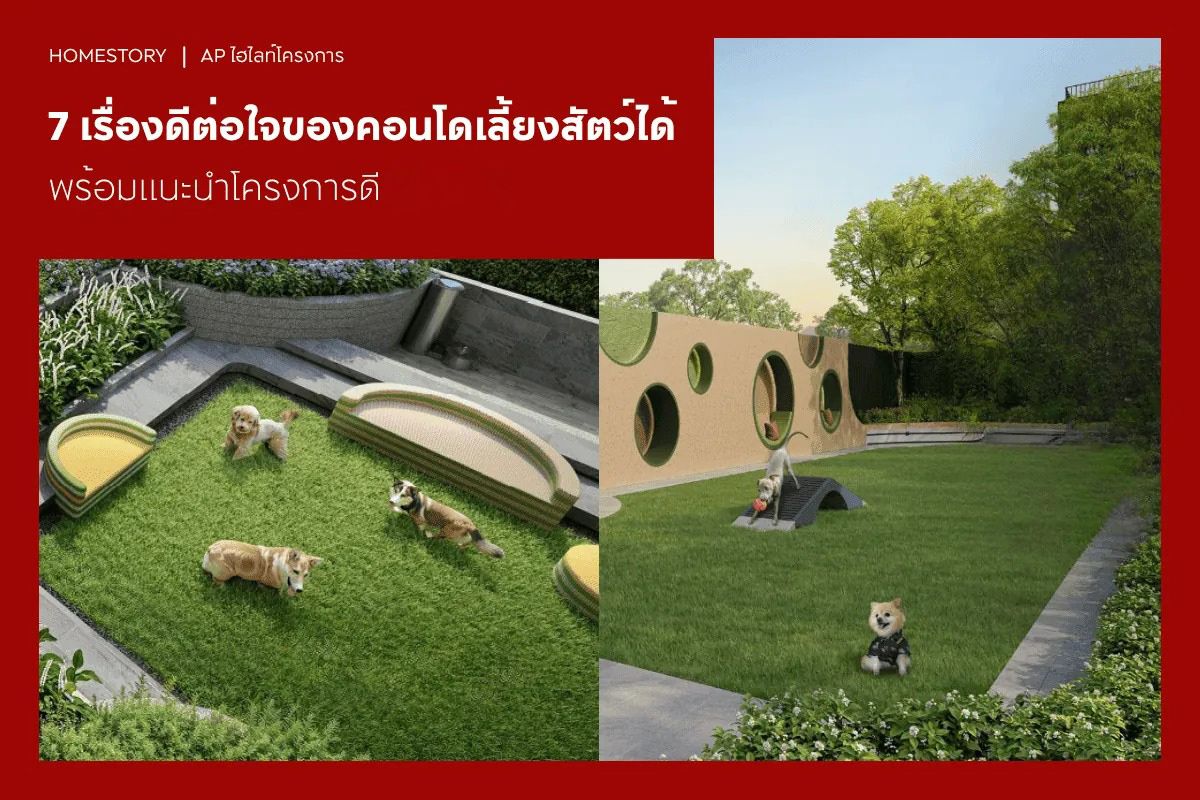 7 เรื่องดีต่อใจของคอนโดเลี้ยงสัตว์ได้พร้อมแนะนำโครงการดีปี 2569