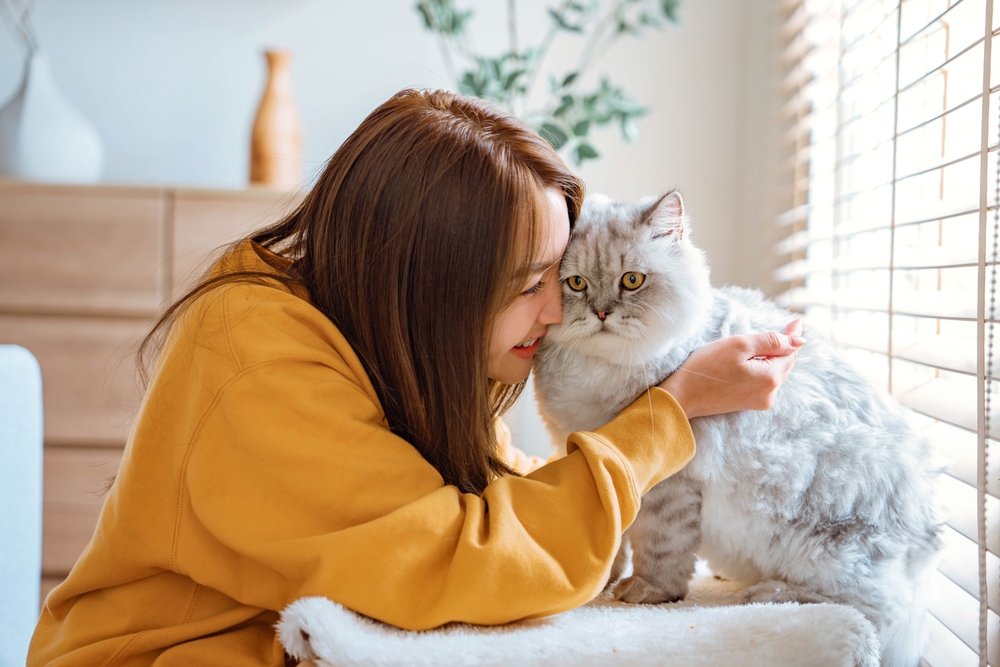 หญิงสาวใช้ชีวิตกับแมวในคอนโด Pet Friendly เลี้ยงสัตว์ได้ ใกล้รถไฟฟ้าจาก AP Thai