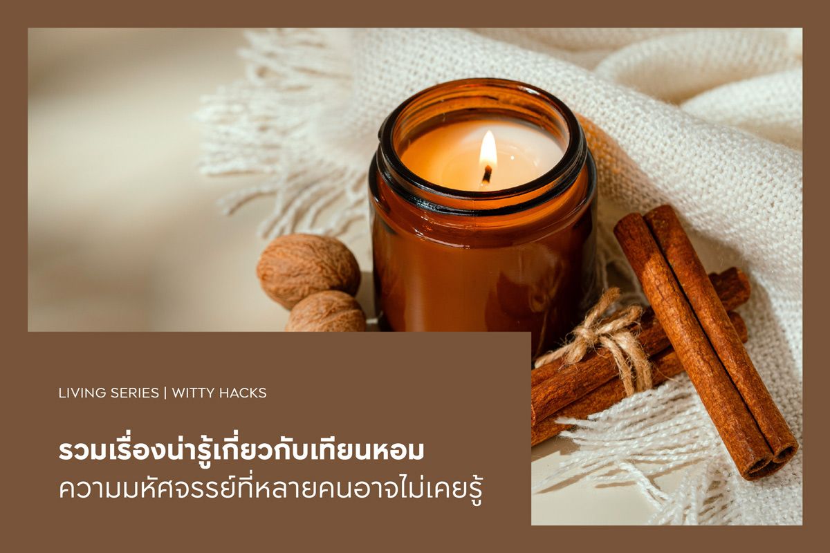 รวมเรื่องน่ารู้เกี่ยวกับเทียนหอม ความมหัศจรรย์ที่หลายคนอาจไม่เคยรู้