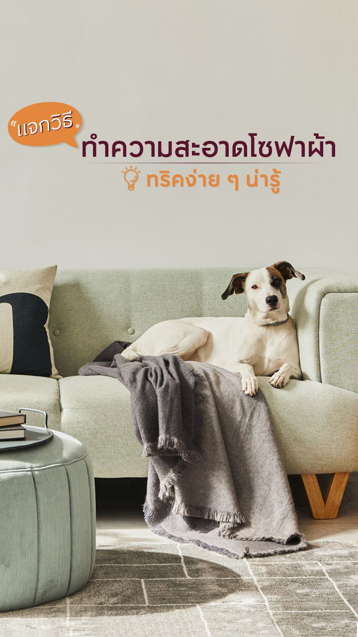 วิธีทำความสะอาดโซฟาผ้า