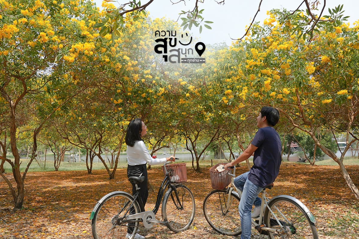 AP ความสุข สนุกทุกย่าน - Life ลาดพร้าว