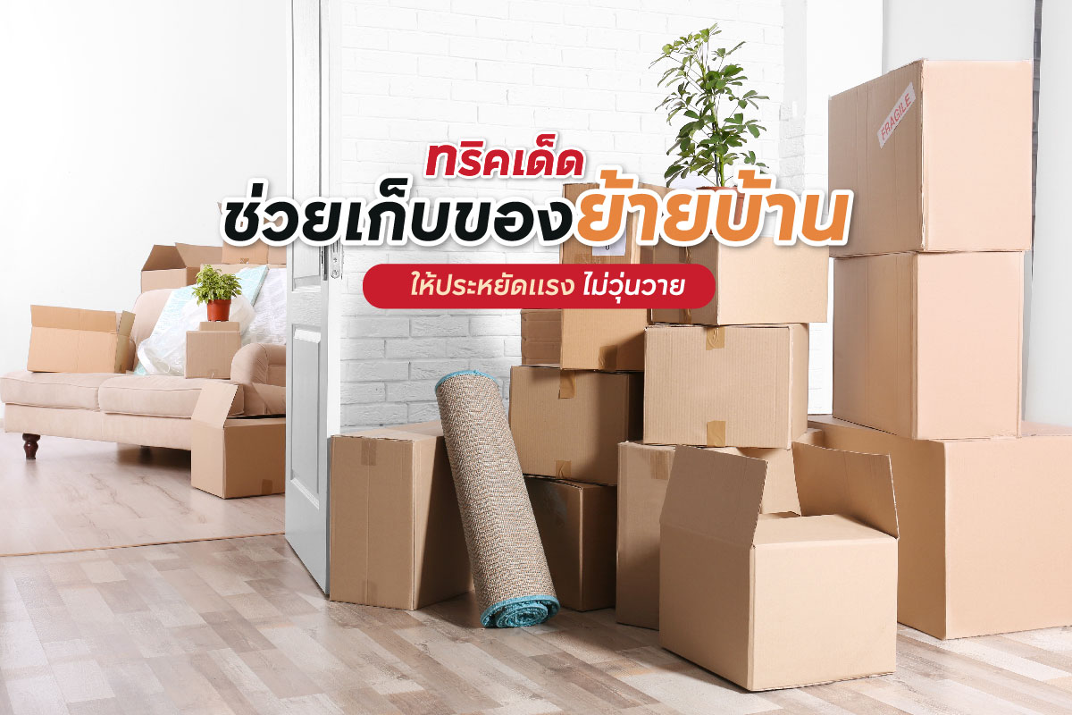 ทริคเด็ดช่วยเก็บของย้ายบ้านให้ประหยัดแรง ไม่วุ่นวาย