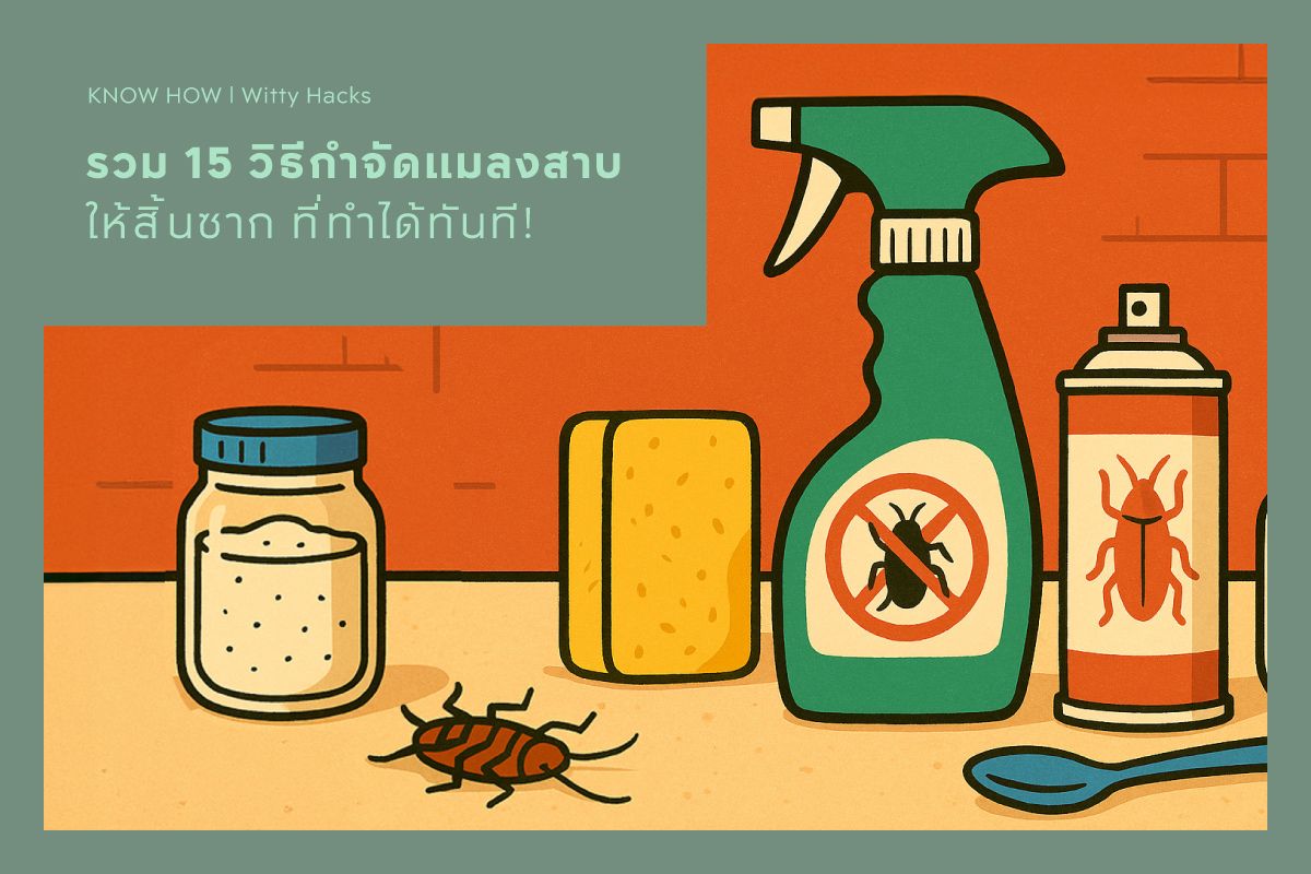 รวม 15 วิธีกำจัดแมลงสาบให้สิ้นซาก ที่ทำได้ทันที!