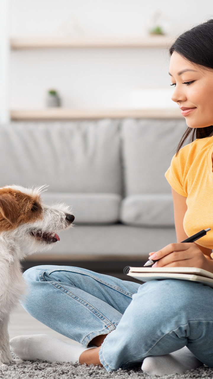 วิธีการเลี้ยงสุนัขตัวแรกในบ้านให้เป็น Good Buddy | AP Thai วิธีการเลี้ยงสุนัขตัวแรกในบ้านให้เป็น Good Buddy | Ap Thai