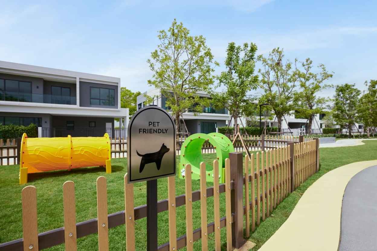 Pet Park
