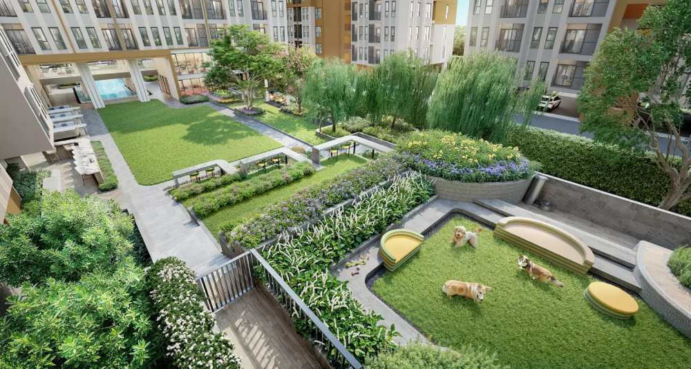 คอนโด Pet Friendly จาก AP Thai โครงการ ASPIRE สุขุมวิท 103