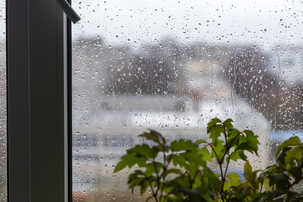 ฝนตกทำให้เกิดเชื้อราในบ้าน