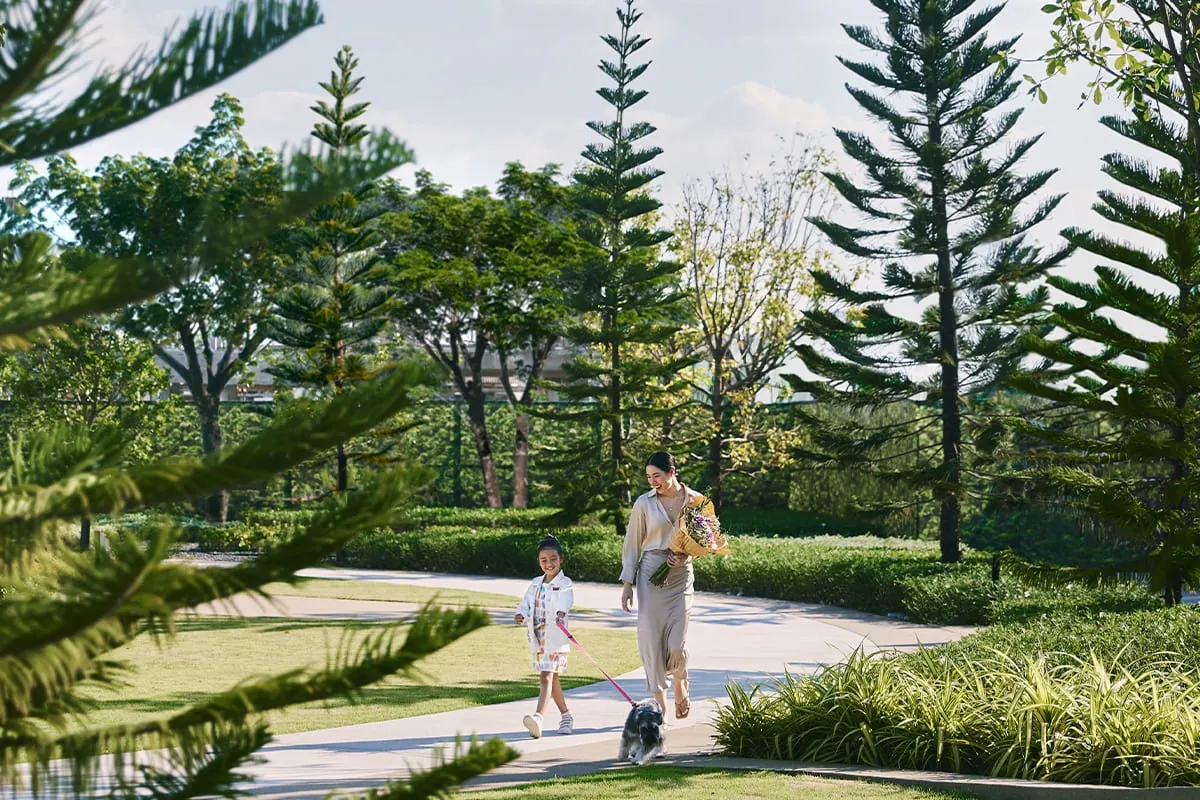 บรรยากาศสวนส่วนกลางสไตล์รีสอร์ต THE CITY ดอนเมือง - แจ้งวัฒนะ โครงการบ้านเดี่ยวย่านดอนเมือง ไม่เกิน 20 ล้าน
