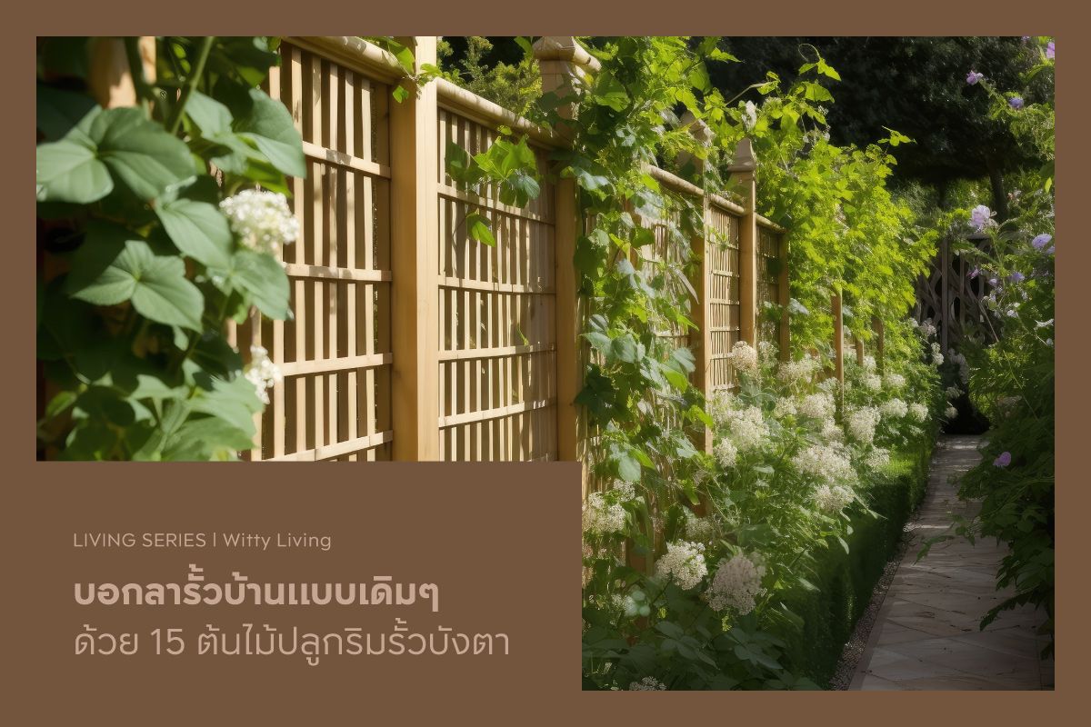 บอกลารั้วบ้านแบบเดิมๆ ด้วย 15 ต้นไม้ปลูกริมรั้วบังตา