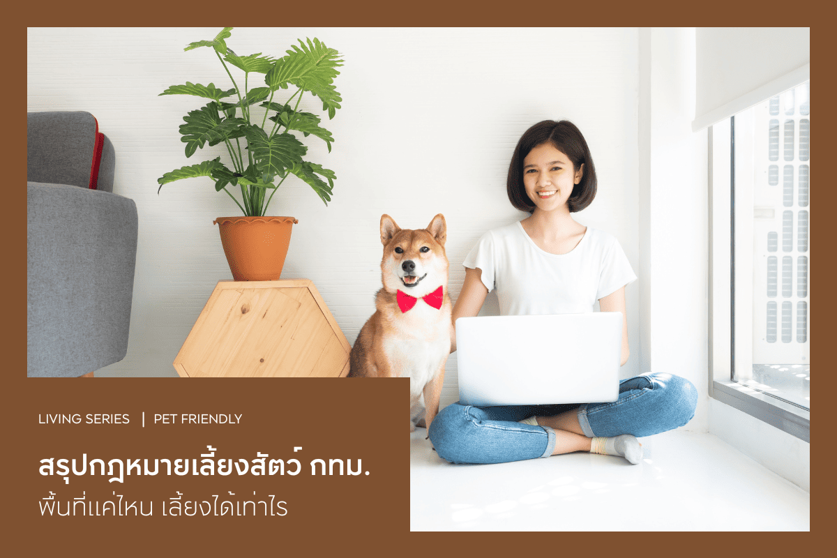 สรุปกฎหมายเลี้ยงสัตว์ กทม. ล่าสุด! พื้นที่แค่ไหน เลี้ยงได้เท่าไร
