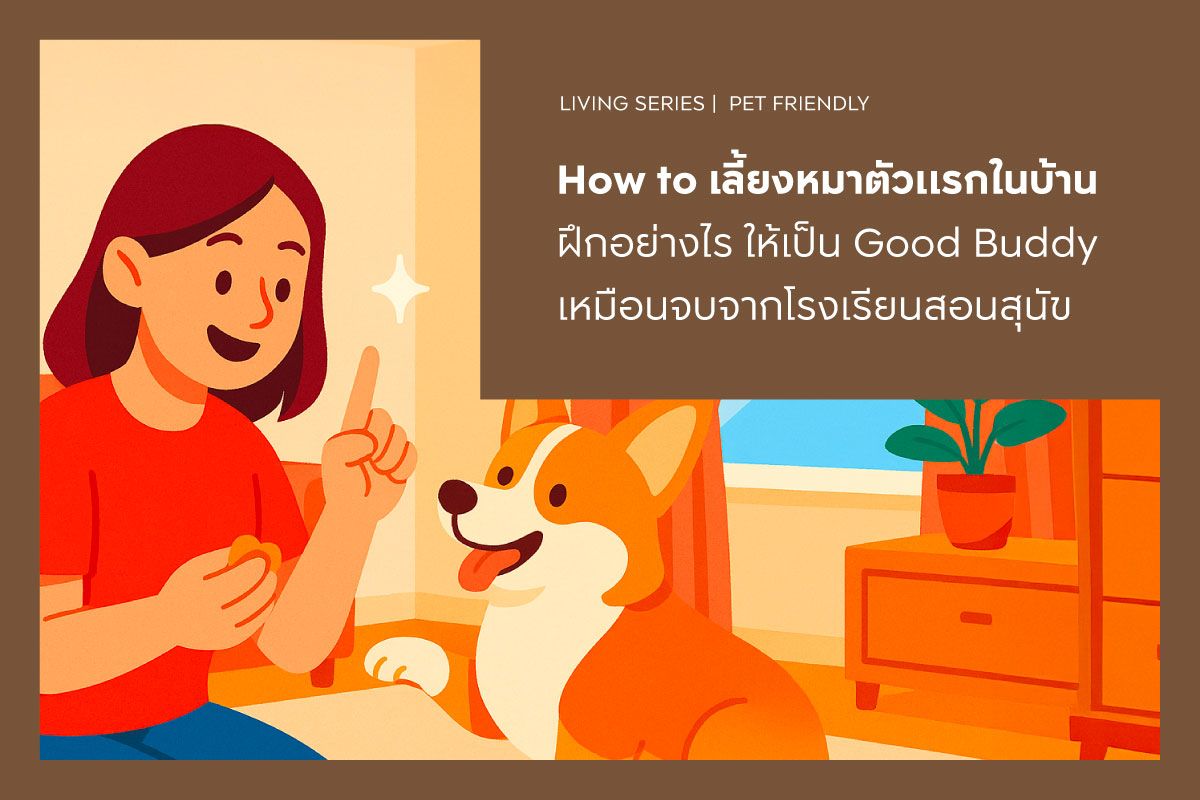 How to เลี้ยงหมาตัวแรกในบ้าน ฝึกอย่างไร ให้เป็น Good Buddy เหมือนจบจากโรงเรียนสอนสุนัข