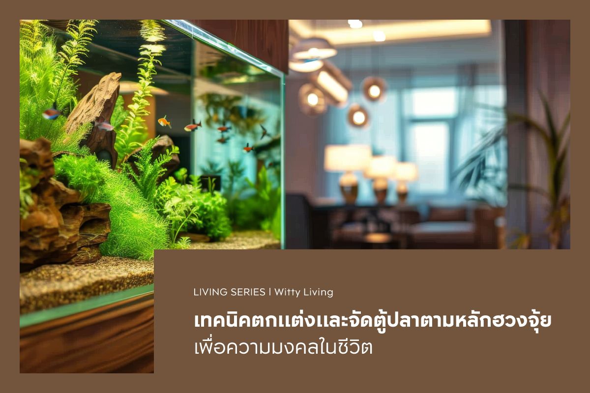 เทคนิคตกแต่งและจัดตู้ปลาตามหลักฮวงจุ้ย เพื่อความมงคลในชีวิต