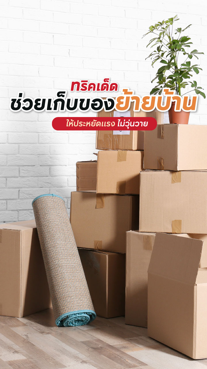 ทริคเด็ดช่วยเก็บของย้ายบ้าน