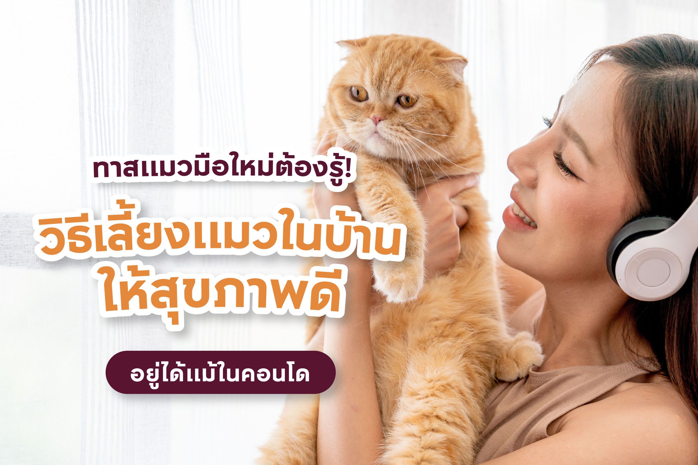 วิธีเลี้ยงแมวในบ้าน สำหรับทาสมือใหม่ เลี้ยงแมวอย่างไรให้ฉลาด