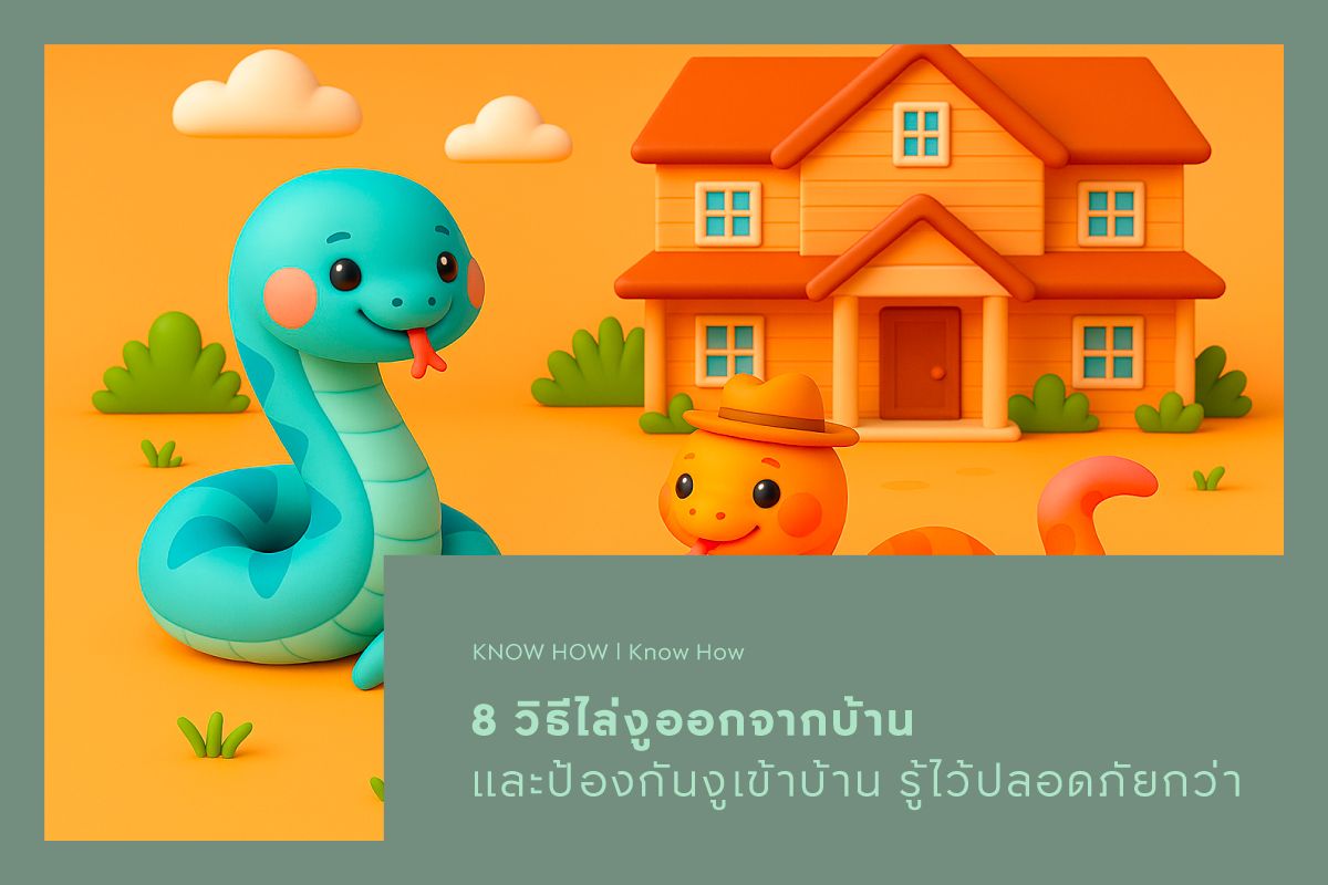 8 วิธีไล่งูออกจากบ้านและป้องกันงูเข้าบ้าน รู้ไว้ปลอดภัยกว่า