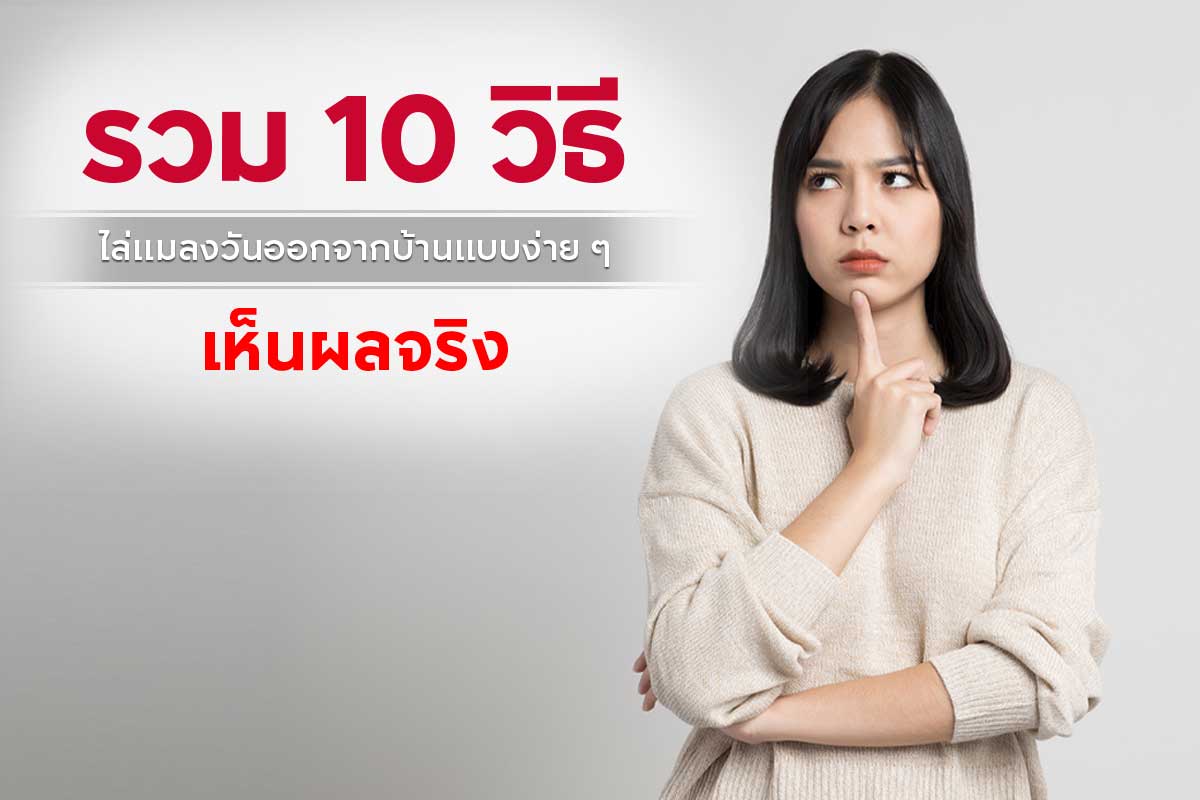 10 วิธีไล่แมลงวันแบบธรรมชาติ ปลอดภัย ได้ผลจริง | เคล็ดลับกำจัดแมลงวันในบ้าน