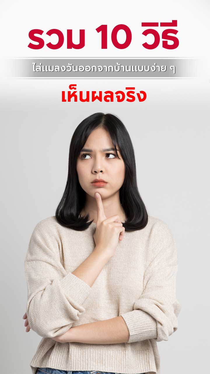รวม 10 วิธีไล่แมลงวัน