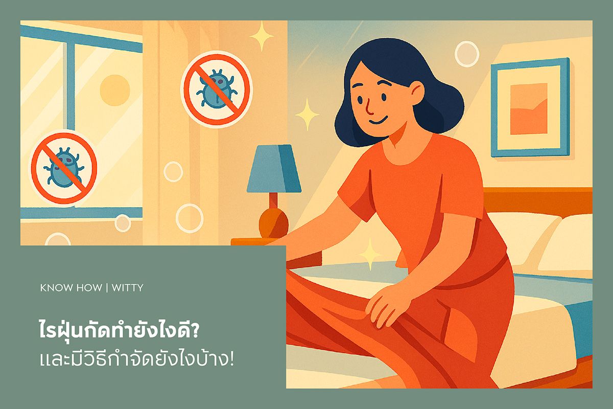 ไรฝุ่นกัดทำยังไงดี? และมีวิธีกำจัดยังไงบ้าง!
