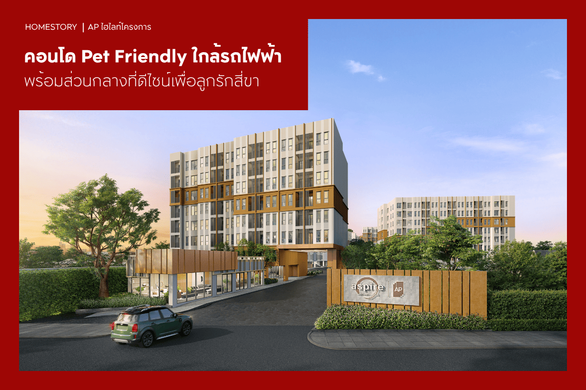 คอนโด Pet Friendly ใกล้รถไฟฟ้า 2569 พร้อมส่วนกลางที่ดีไซน์เพื่อลูกรักสี่ขา
